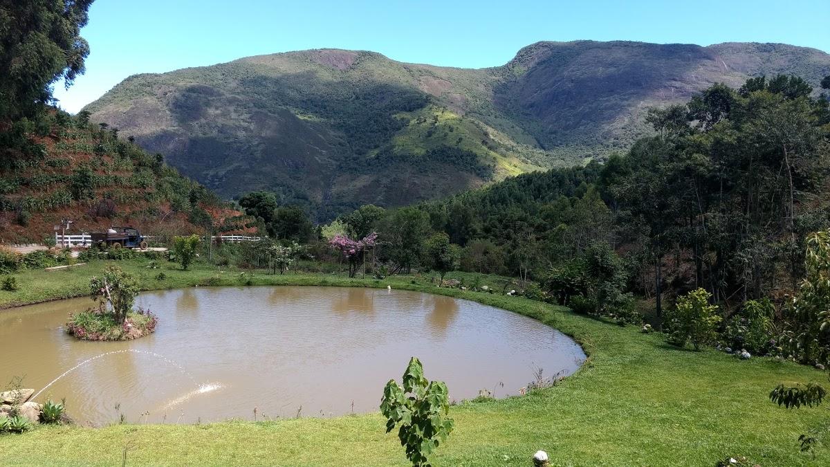 Registro de Marca Dores do Rio Preto