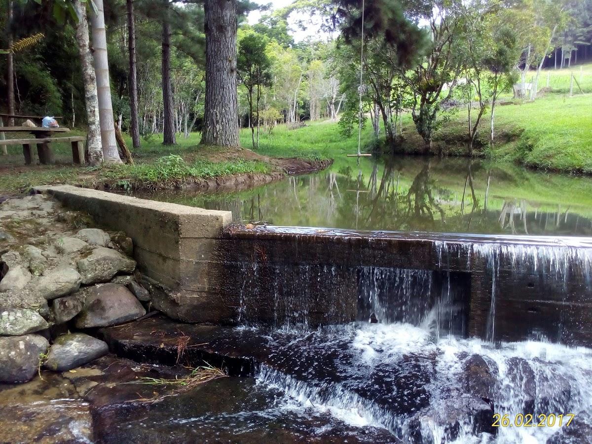 Registro de Marca Doutor Pedrinho