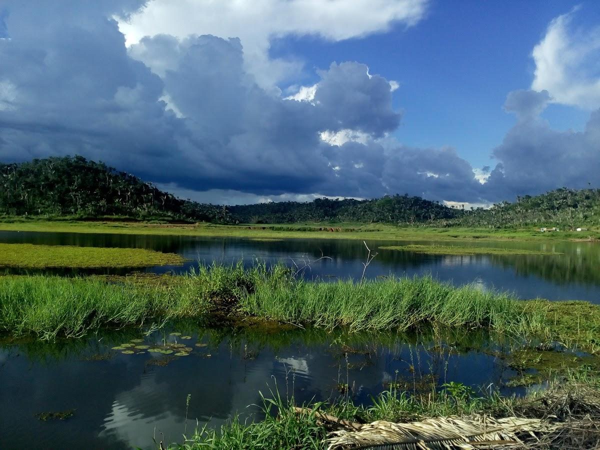 Registro de Marca Duque Bacelar