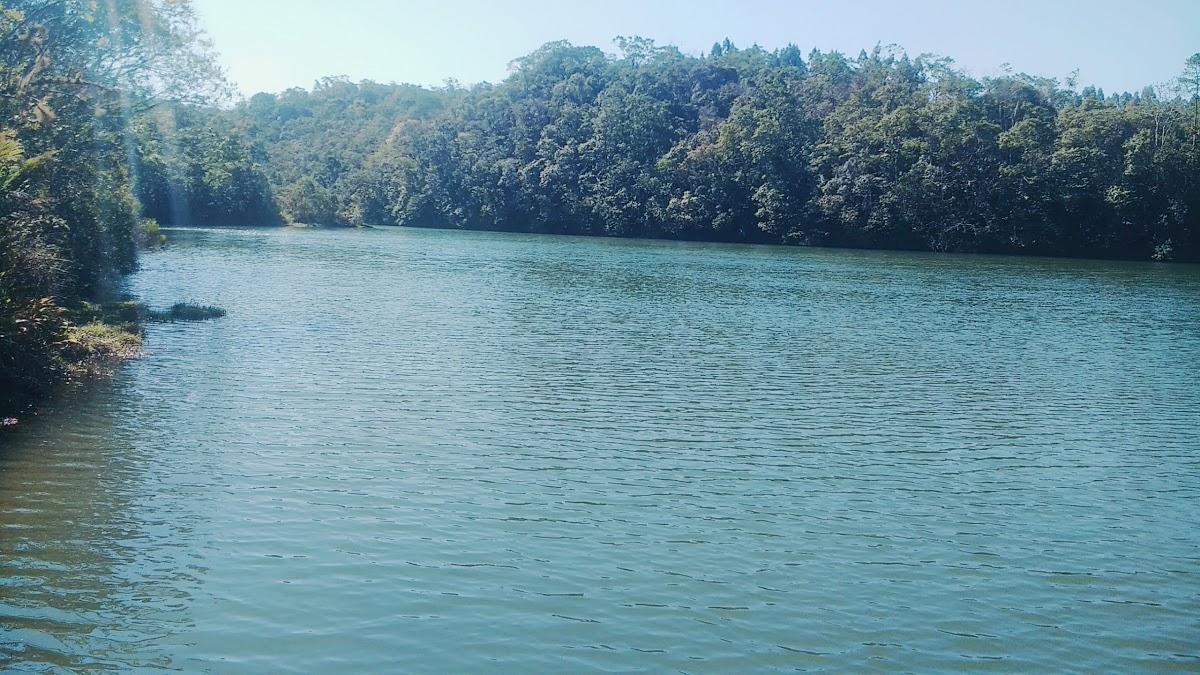 Registro de Marca Eldorado