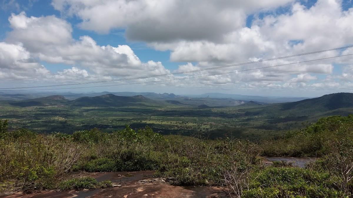 Registro de Marca Elísio Medrado