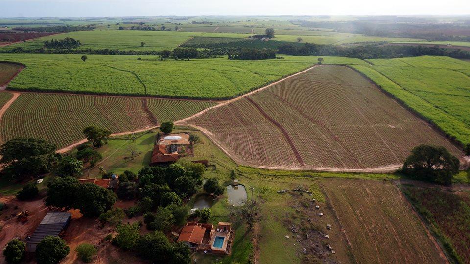 Registro de Marca Embaúba