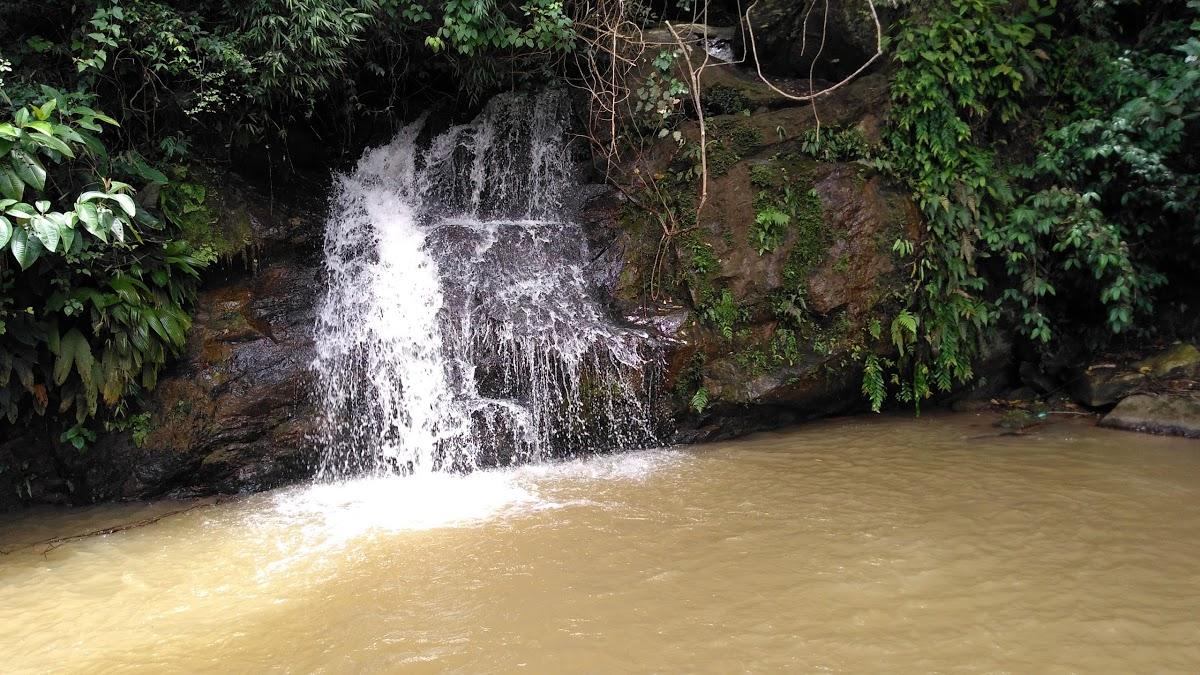 Registro de Marca Engenheiro Paulo de Frontin