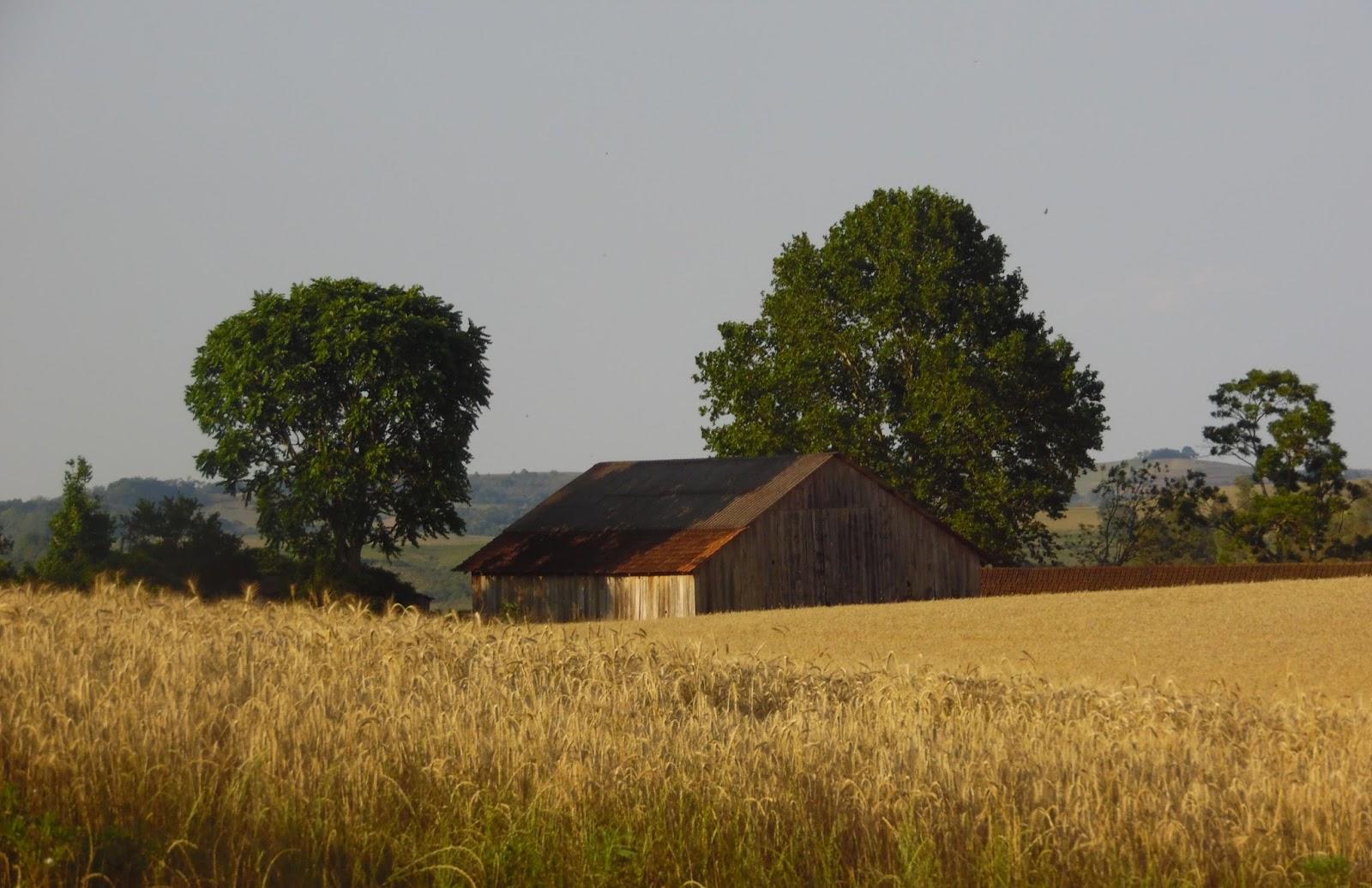 Registro de Marca Engenho Velho