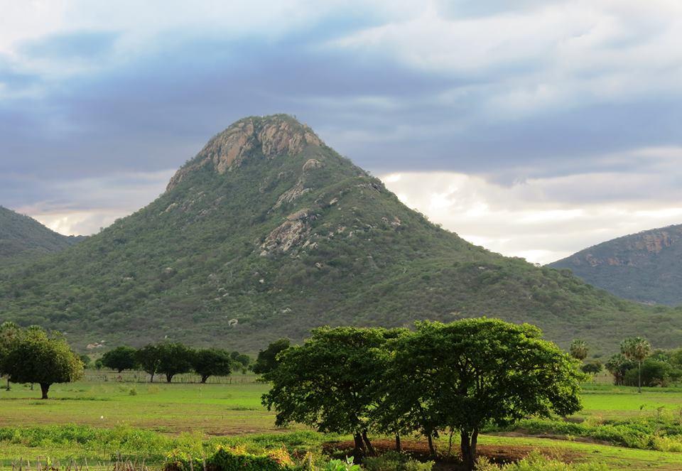 Registro de Marca Ererê
