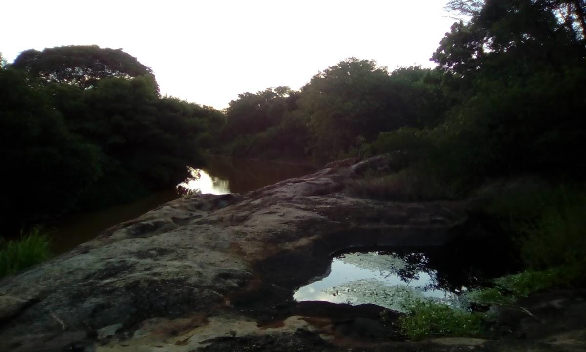 Registro de Marca Espinosa