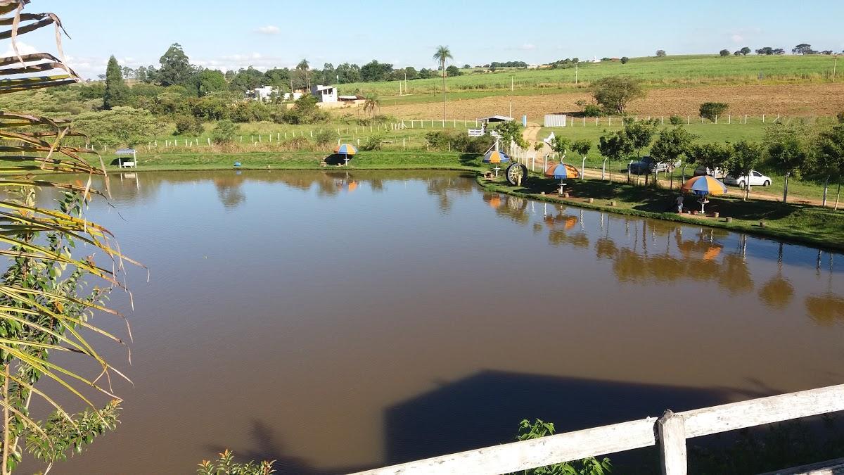 Registro de Marca Estiva Gerbi