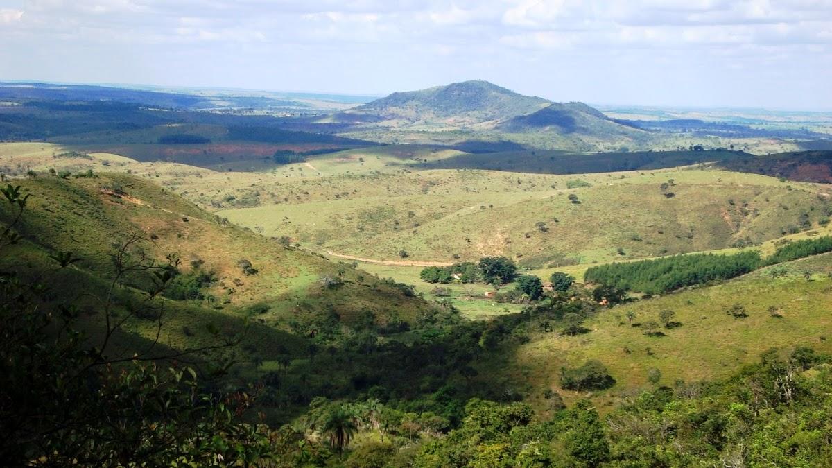 Registro de Marca Estrela do Indaiá