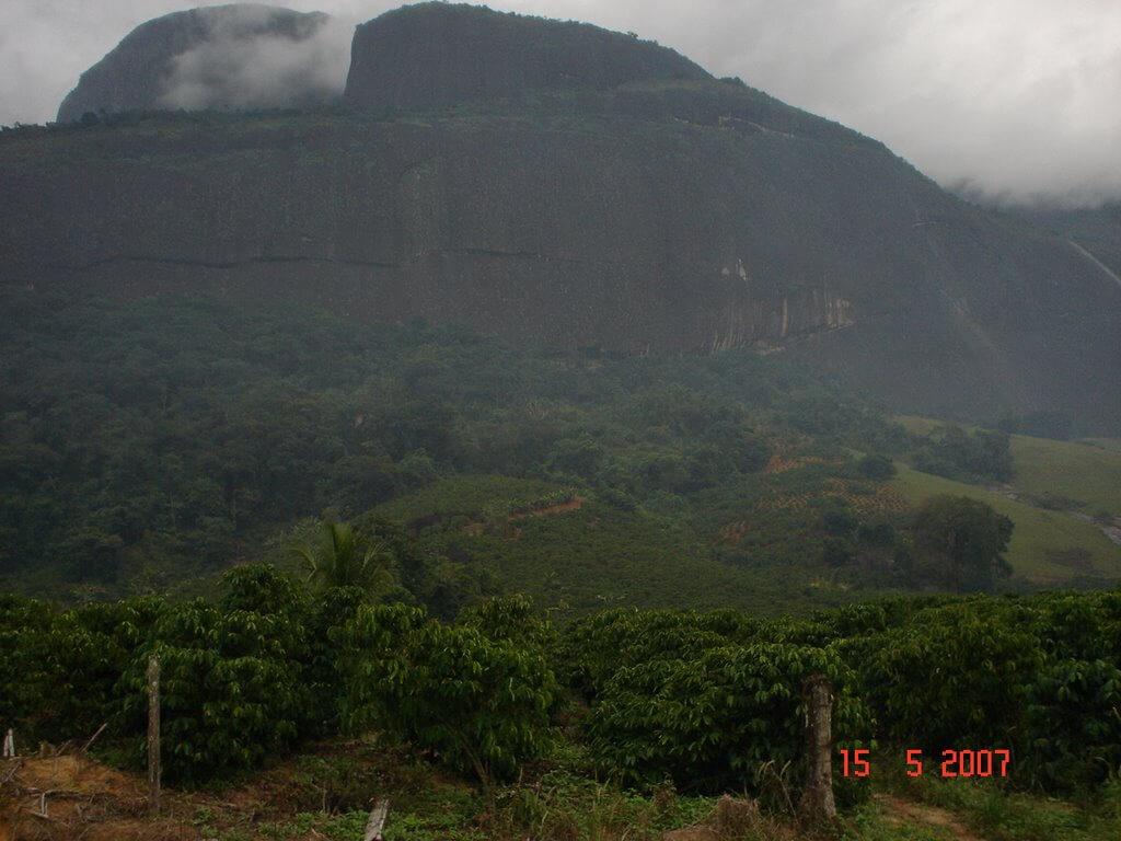 Registro de Marca Estrela do Norte