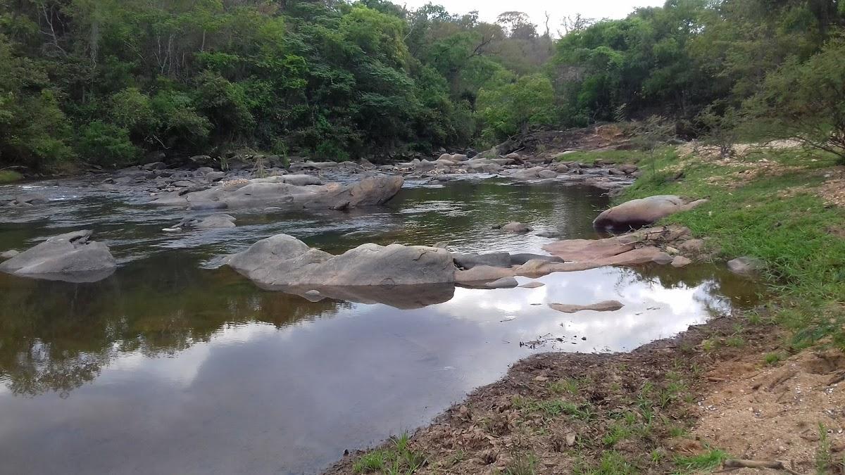Registro de Marca Estrela do Sul