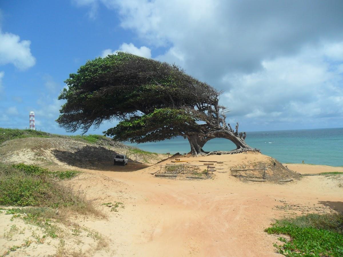 Registro de Marca Extremoz