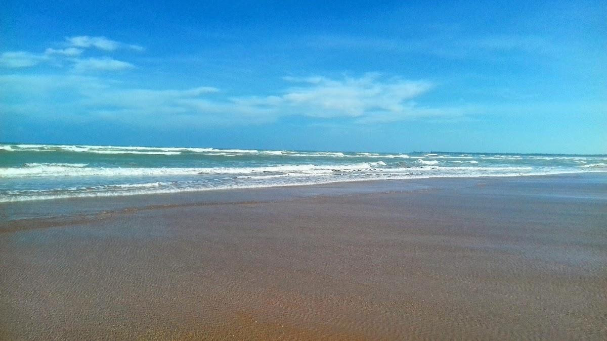 Registro de Marca Feliz Deserto