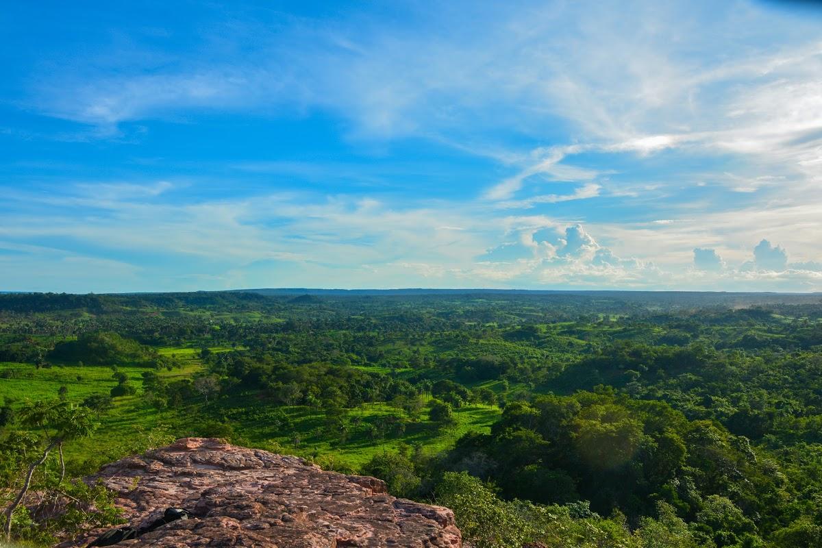 Registro de Marca Fernando Falcão