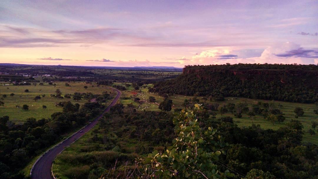 Registro de Marca Figueirão