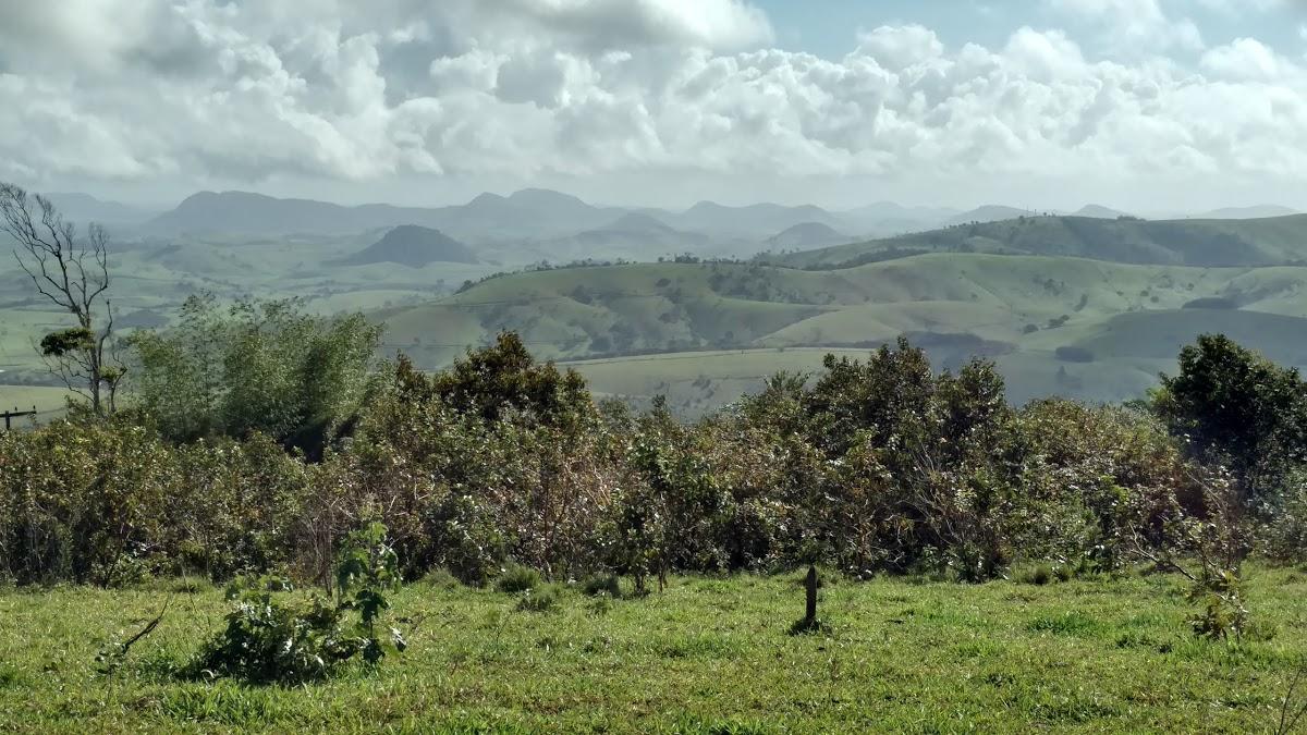 Registro de Marca Flexeiras