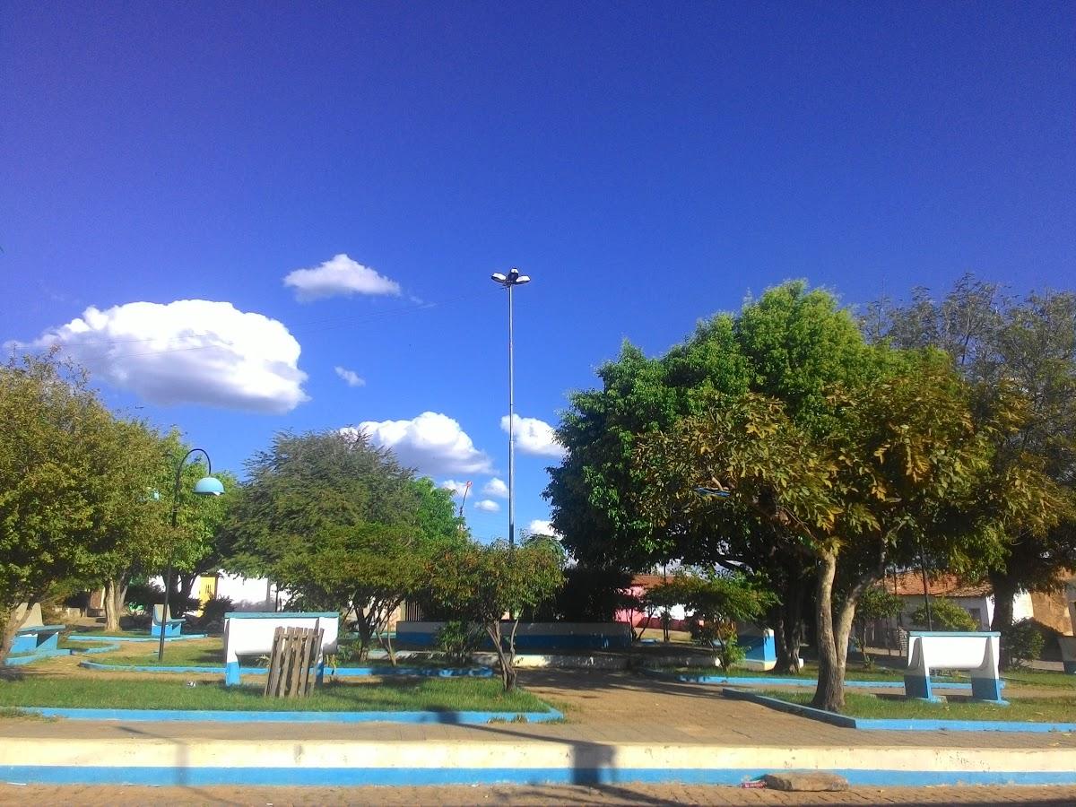 Registro de Marca Flores do Piauí