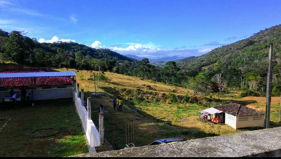 Registro de Marca Floresta Azul