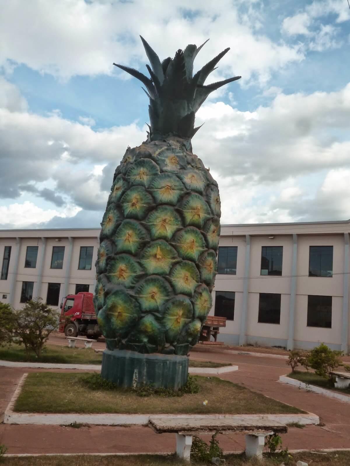 Registro de Marca Floresta do Araguaia