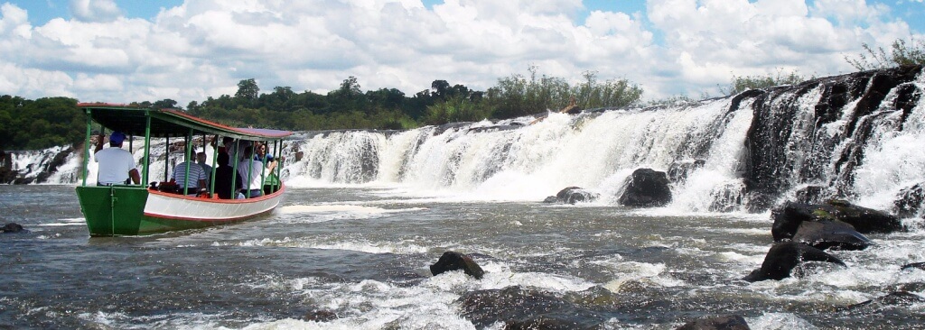 Registro de Marca Floresta
