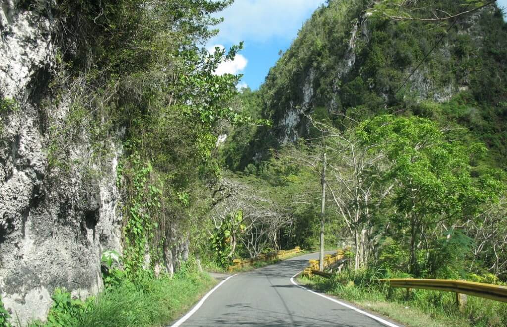 Registro de Marca Flórida