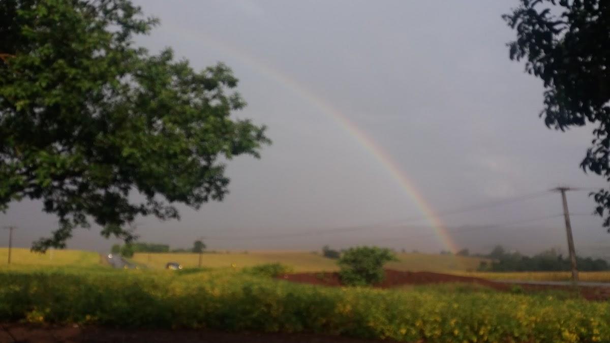 Registro de Marca Formosa do Oeste