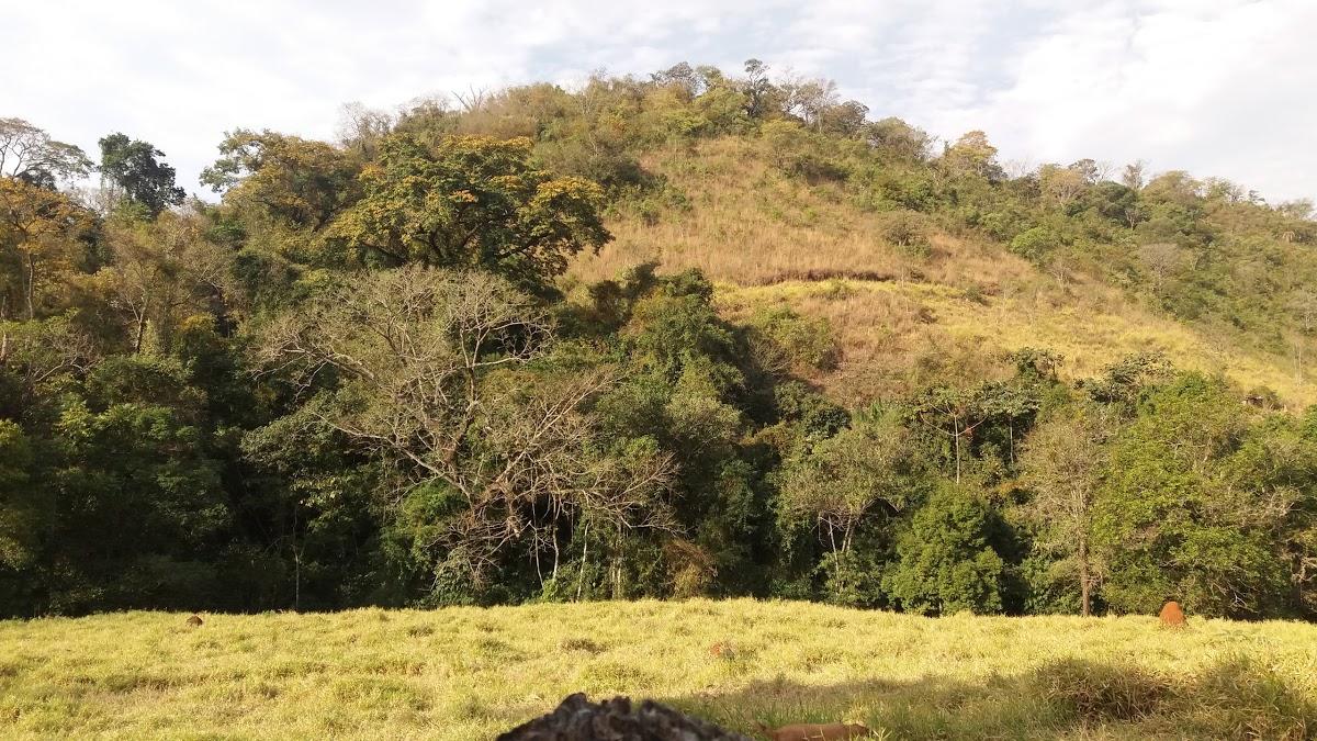 Registro de Marca Fortaleza de Minas