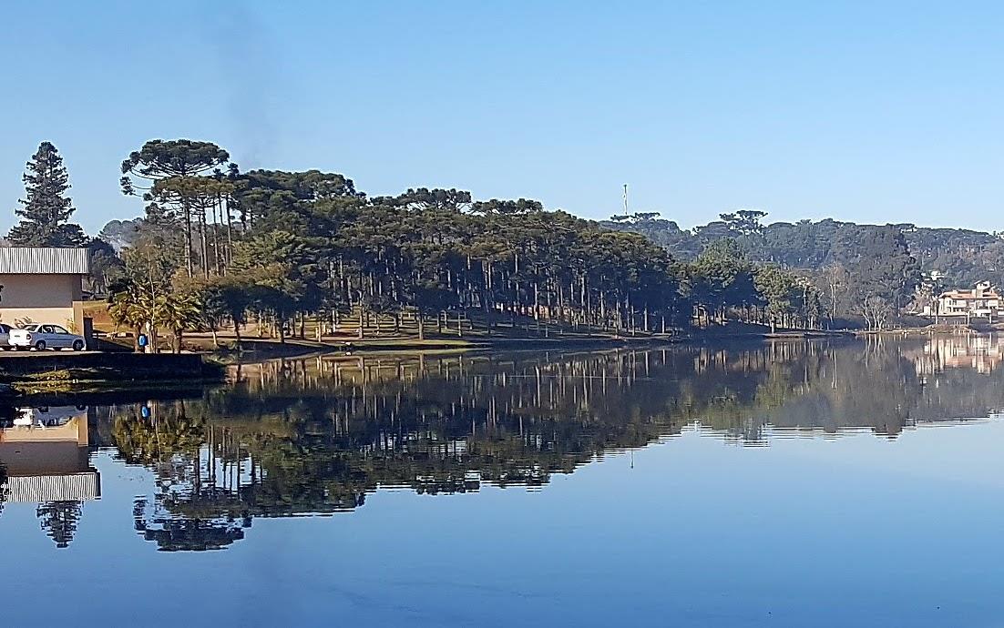 Registro de Marca Fraiburgo