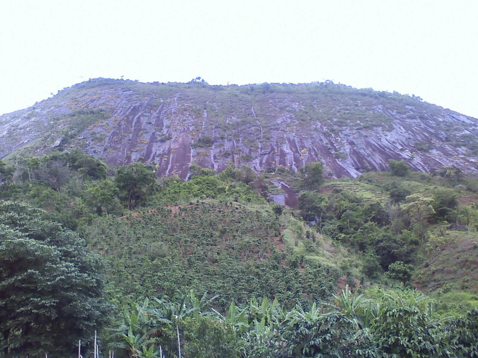 Registro de Marca Frei Gaspar