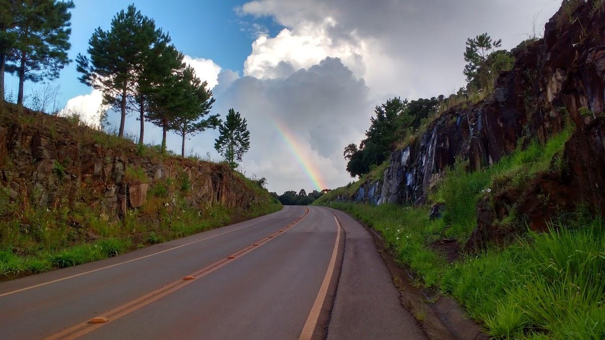 Registro de Marca Frei Rogério