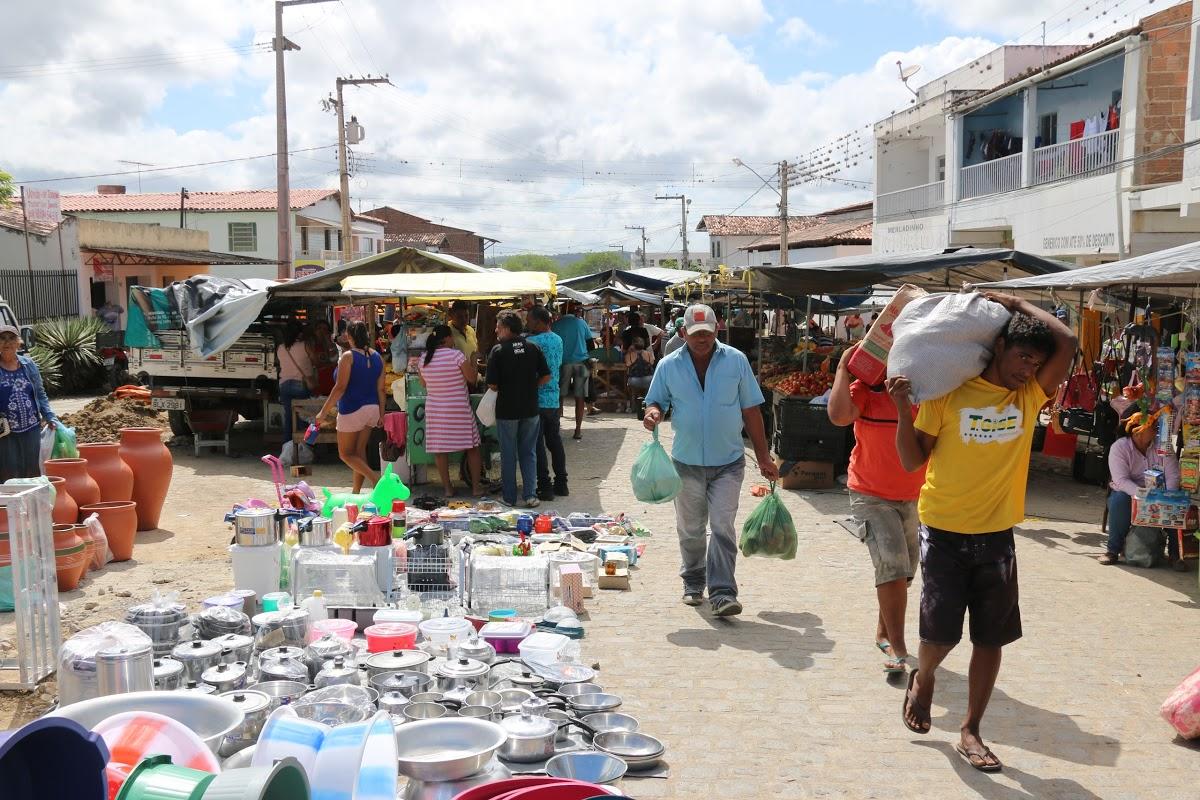 Registro de Marca Gado Bravo