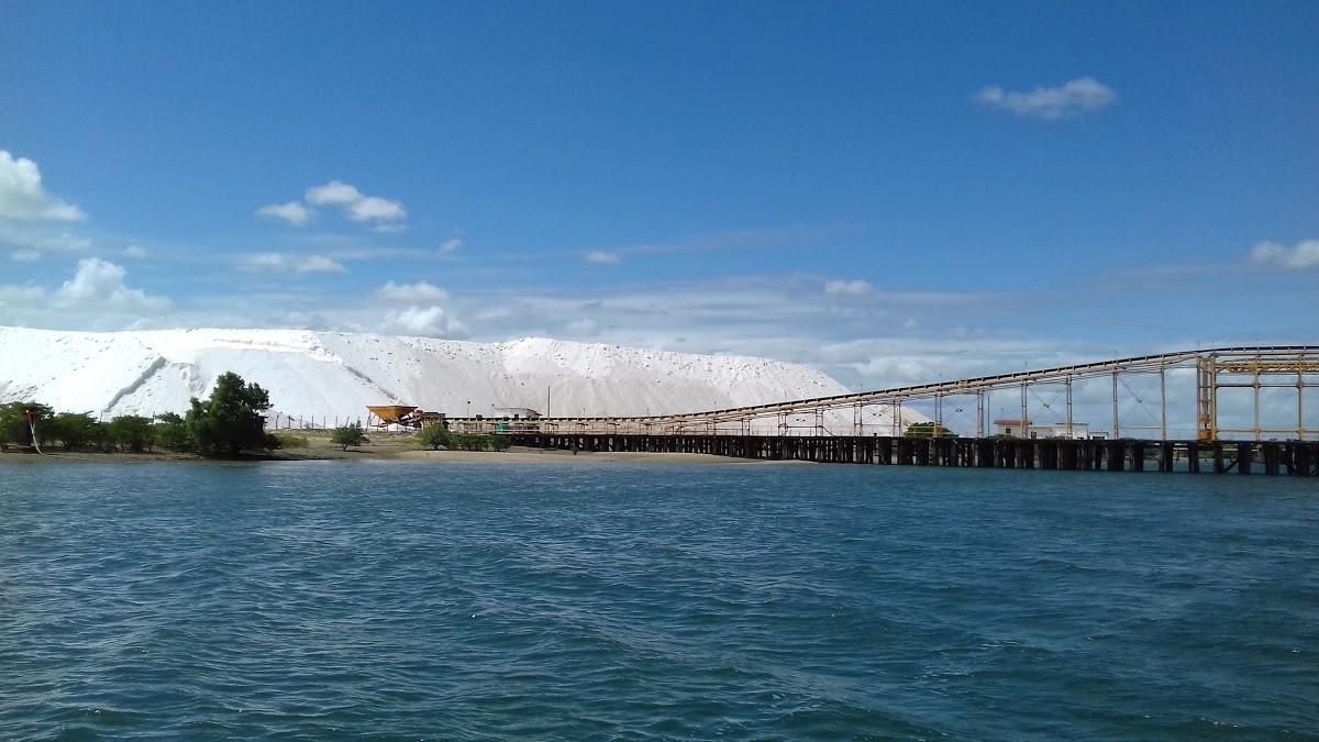 Registro de Marca Galinhos