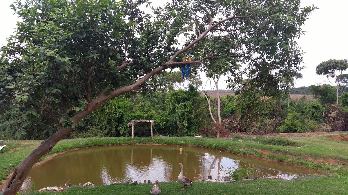 Registro de Marca Gameleira de Goiás