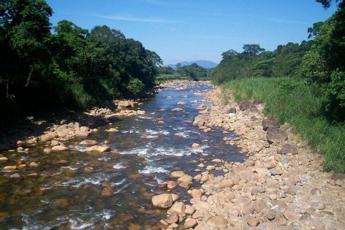 Registro de Marca Garuva