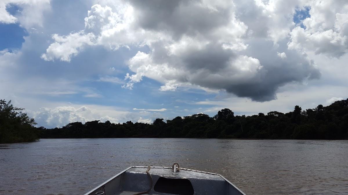 Registro de Marca Gaúcha do Norte