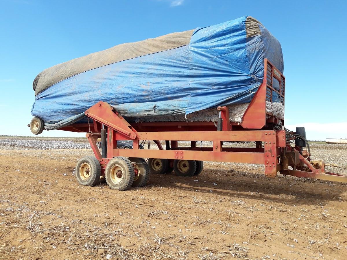 Registro de Marca Gilbués