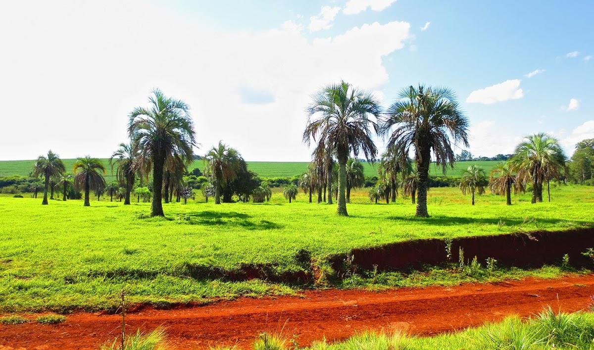 Registro de Marca Giruá