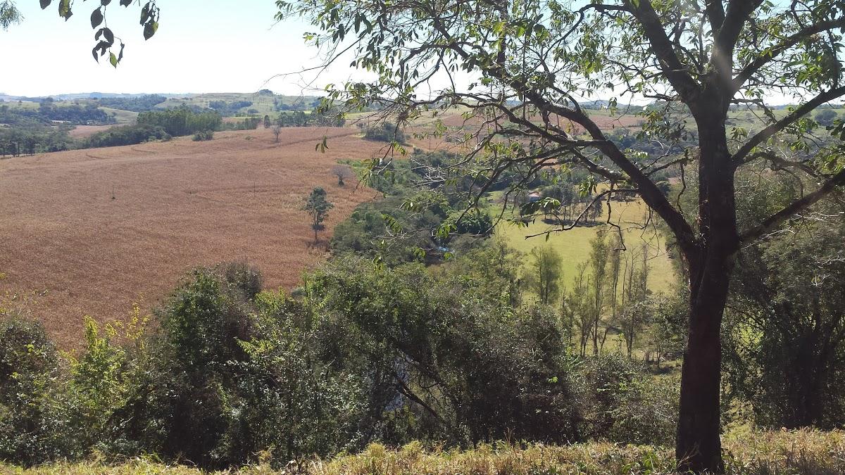 Registro de Marca Godoy Moreira