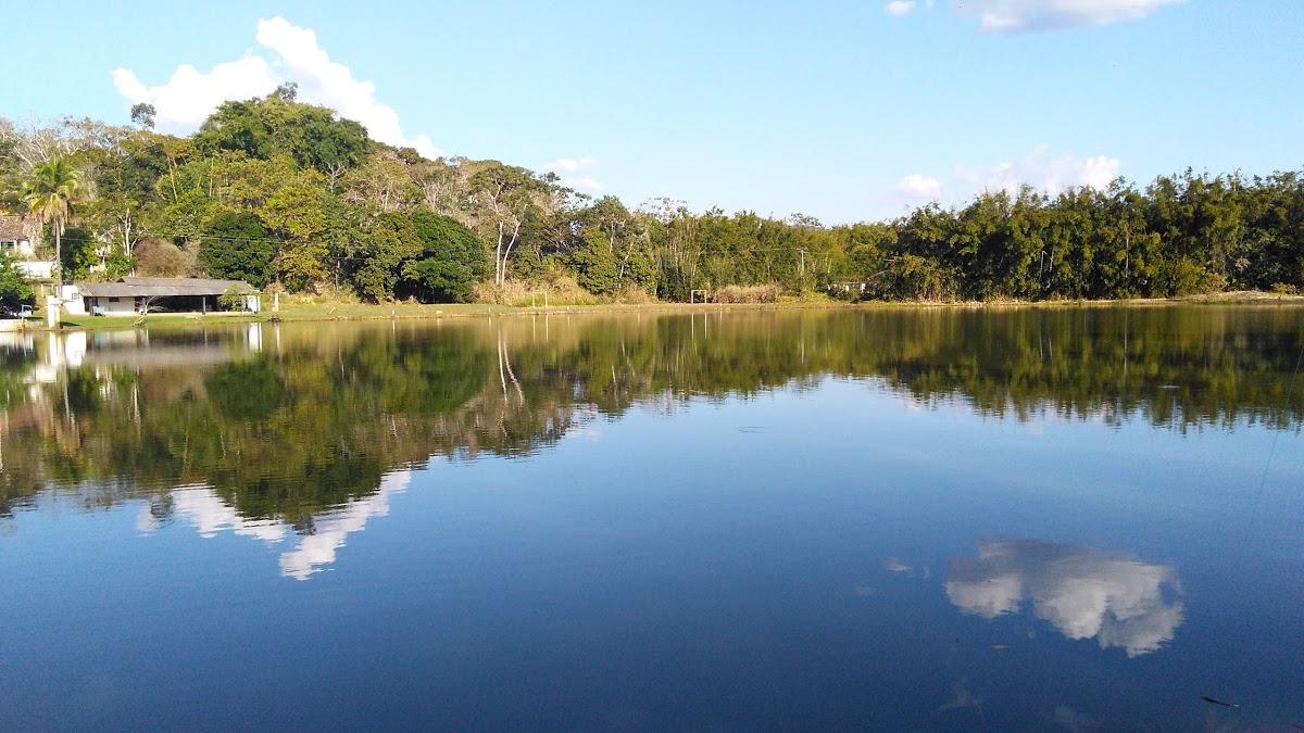 Registro de Marca Goianá