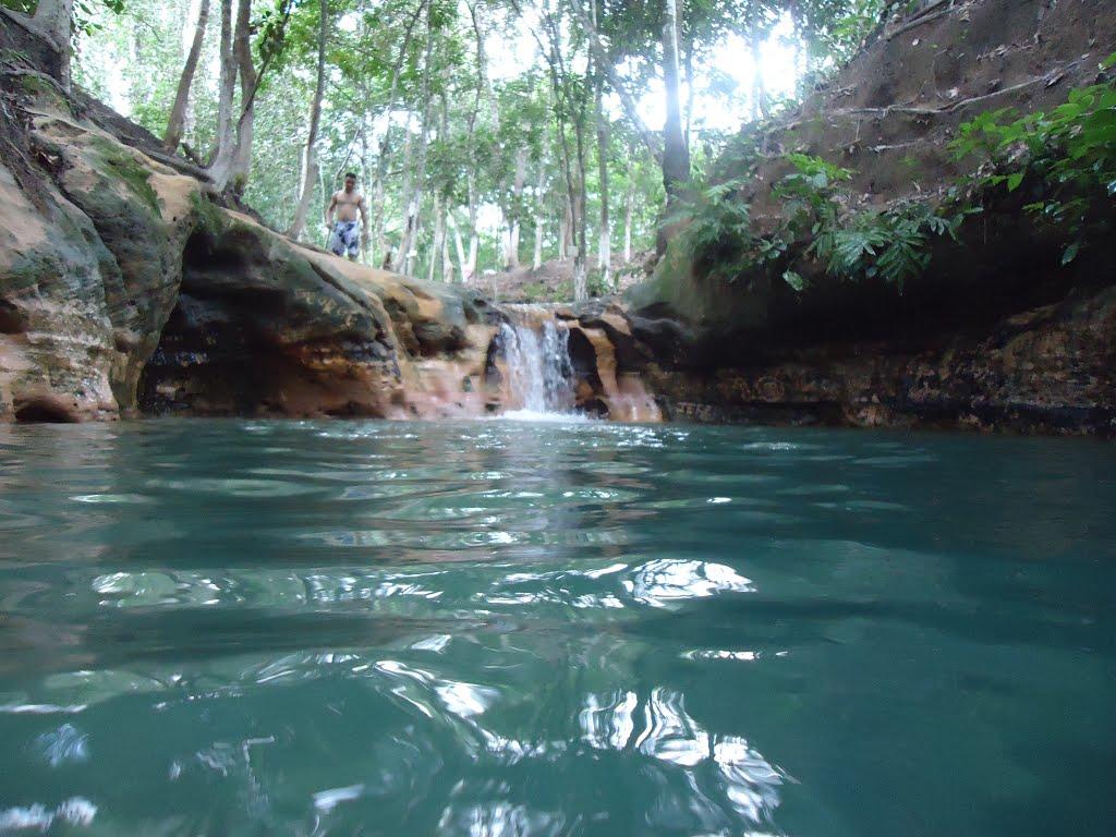 Registro de Marca Goiatins