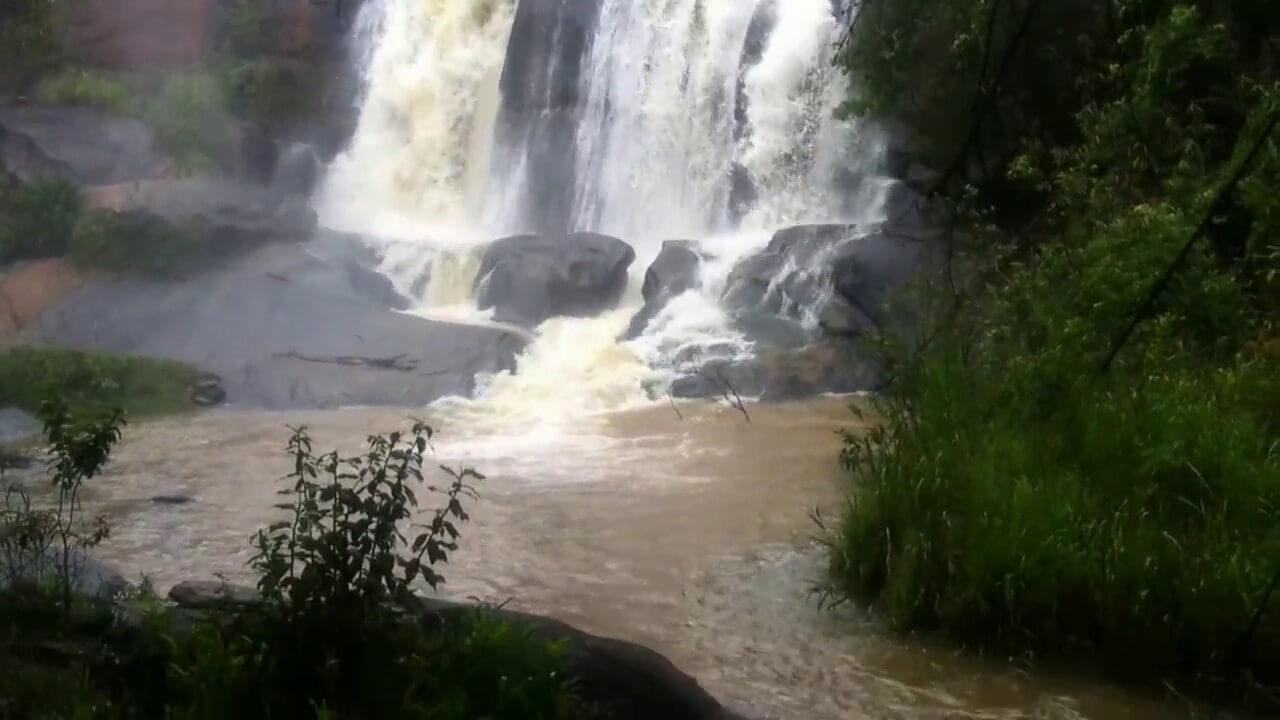 Registro de Marca Gonzaga