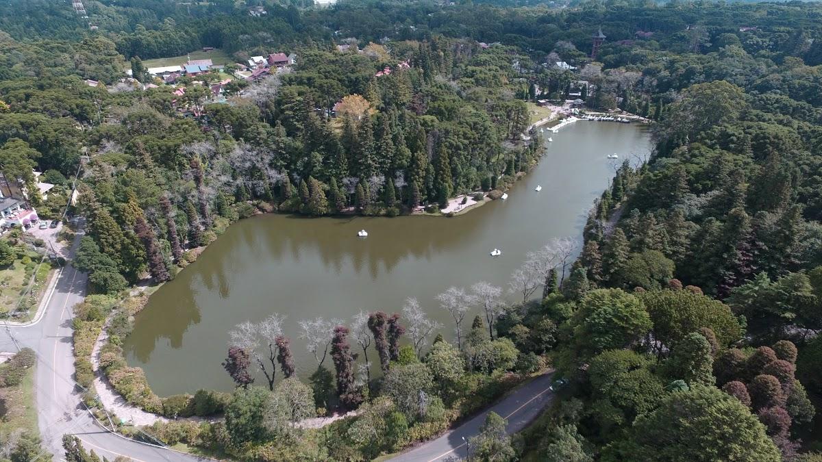 Registro de Marca Gramado