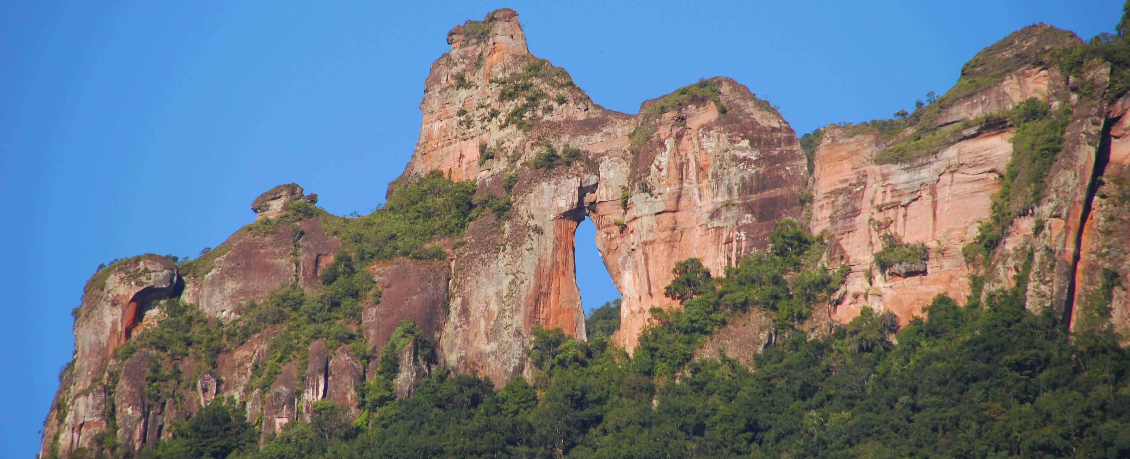 Registro de Marca Grão Pará