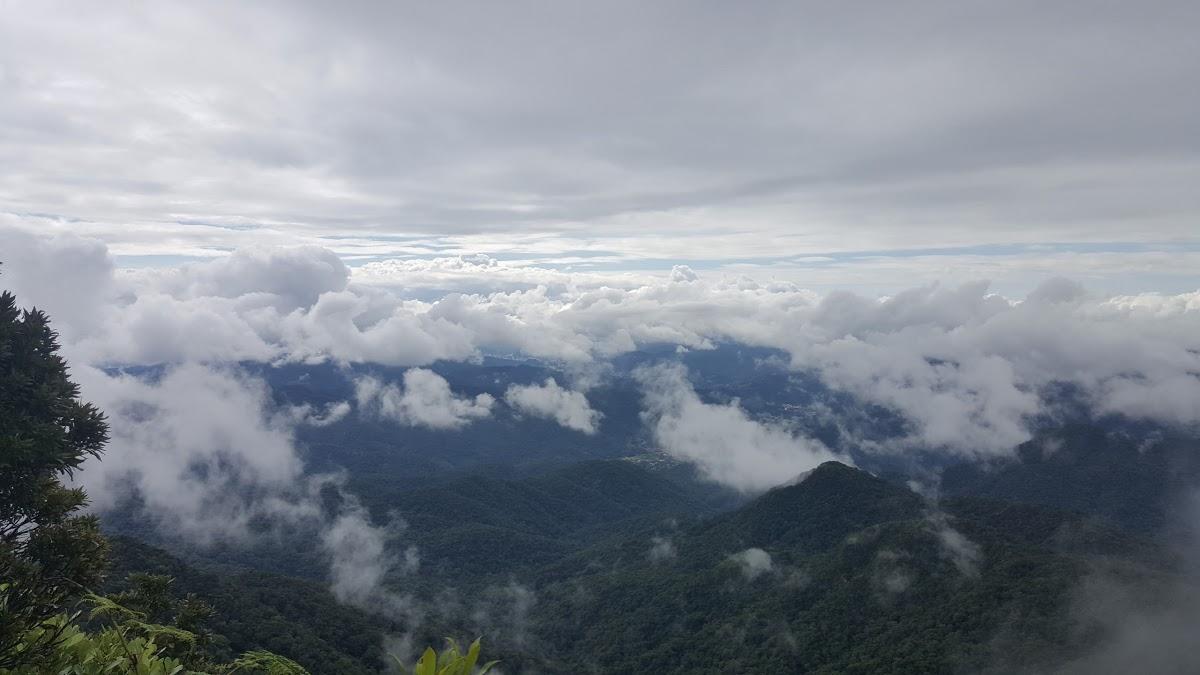 Registro de Marca Guabiruba