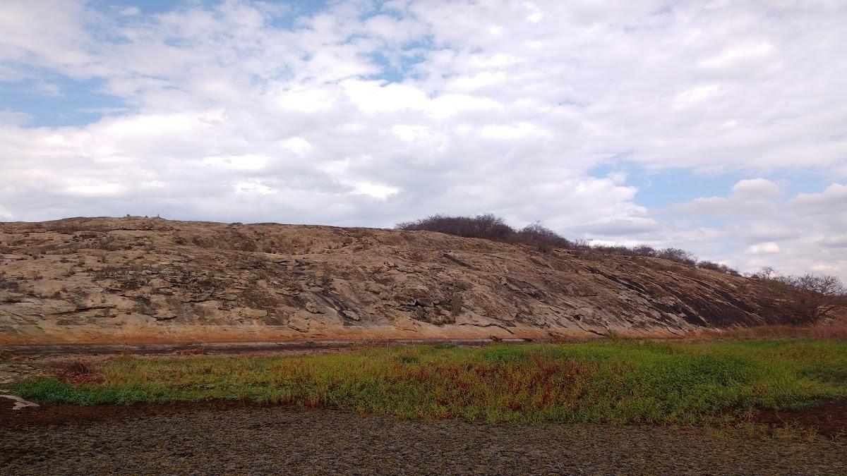 Registro de Marca Guajeru