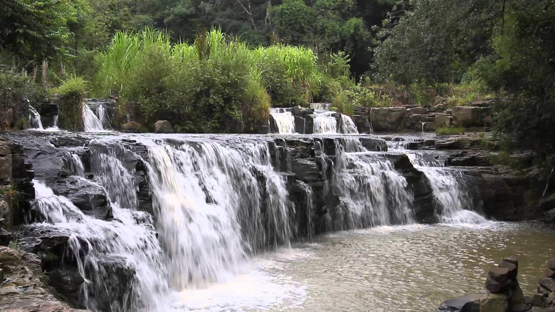 Registro de Marca Guamiranga