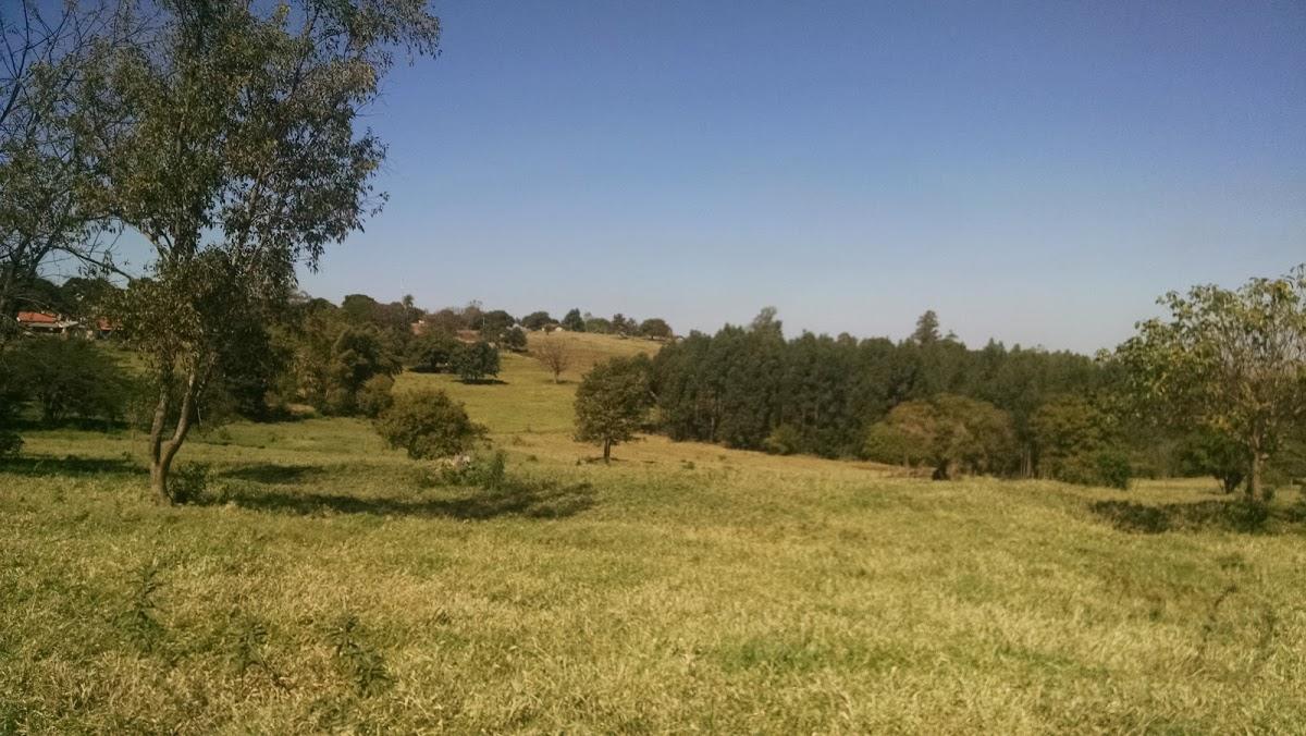 Registro de Marca Guaraci