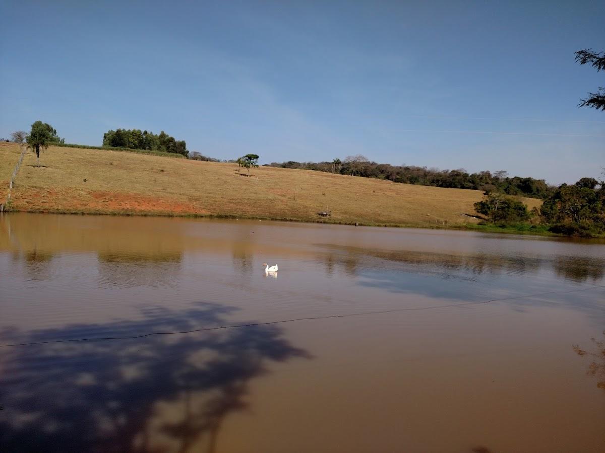 Registro de Marca Guaraíta