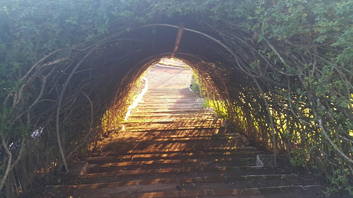 Registro de Marca Guarani das Missões