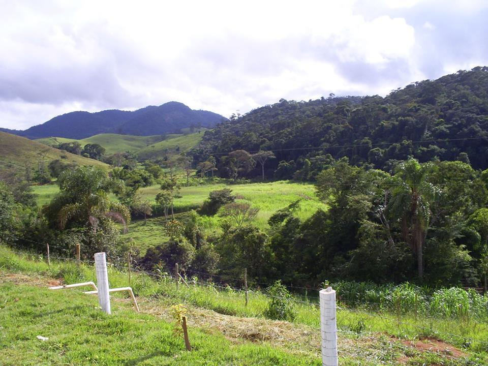 Registro de Marca Guarará