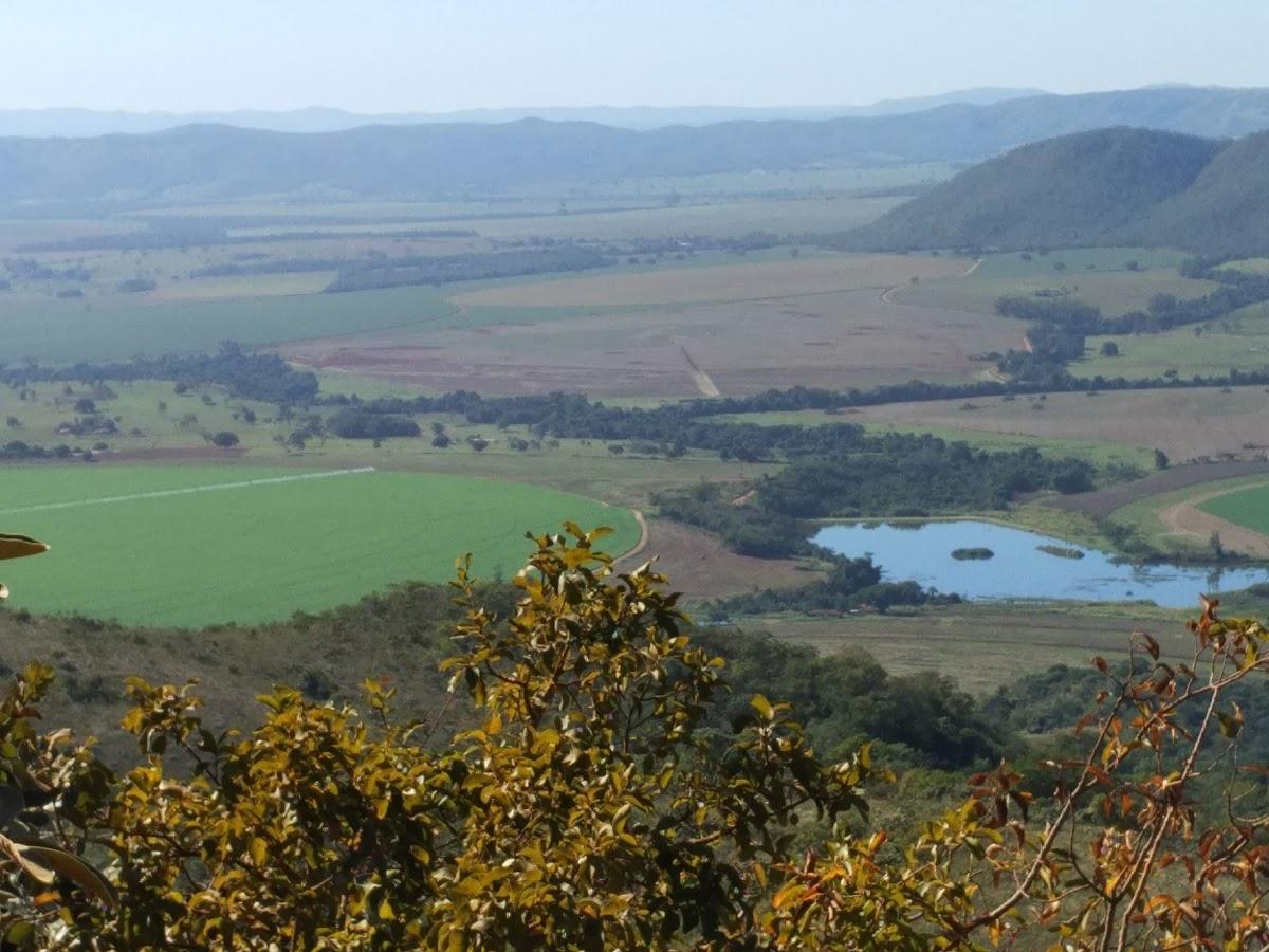 Registro de Marca Guarda-Mor